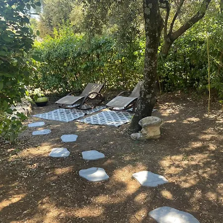 Maison En Provence Avec Piscine Proche Avignon * Les Angles (Gard)