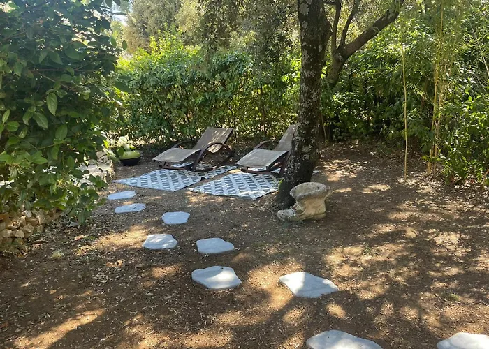 Maison En Provence Avec Piscine Proche Avignon * Les Angles (Gard)